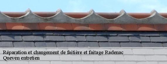 Réparation et changement de faitière et faitage  radenac-56500 Queven entretien