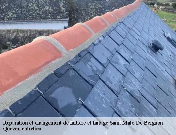 Réparation et changement de faitière et faitage  saint-malo-de-beignon-56380 Queven entretien