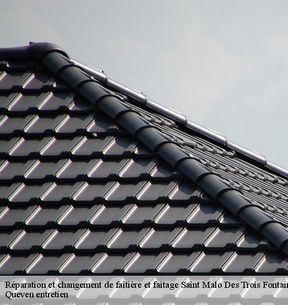 Réparation et changement de faitière et faitage-10