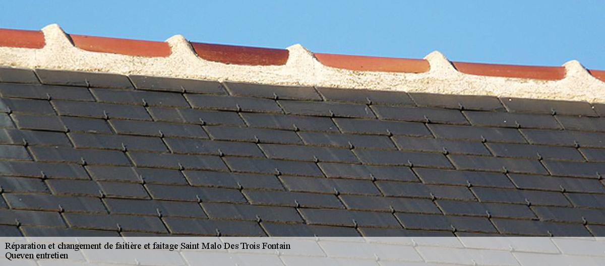 Réparation et changement de faitière et faitage-7