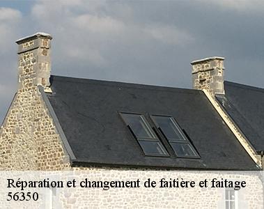Réparation et changement de faitière et faitage-2