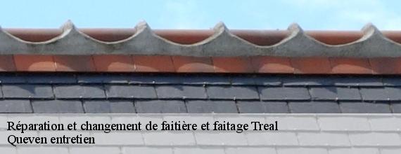 Réparation et changement de faitière et faitage  treal-56140 Queven entretien