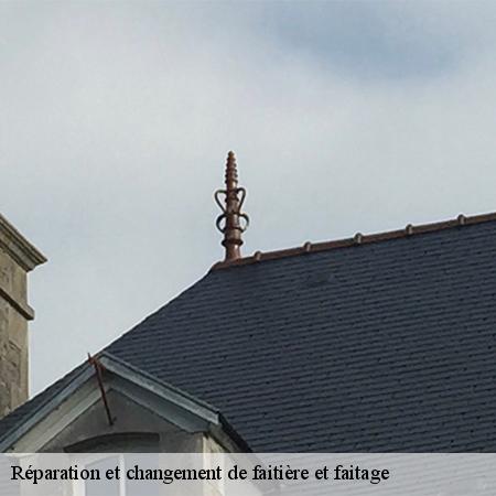 Réparation et changement de faitière et faitage-3