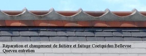 Réparation et changement de faitière et faitage  coetquidan-bellevue-56380 Queven entretien