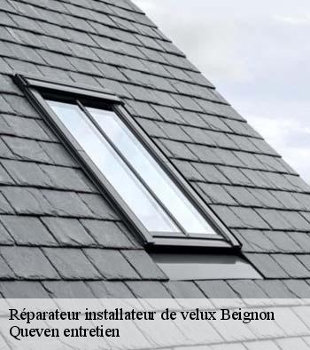 Réparateur installateur de velux  beignon-56380 Queven entretien