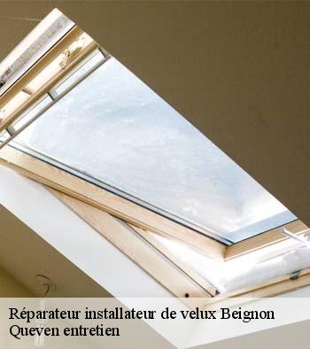 Réparateur installateur de velux  beignon-56380 Queven entretien