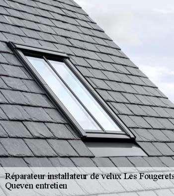 Réparateur installateur de velux  les-fougerets-56200 Queven entretien