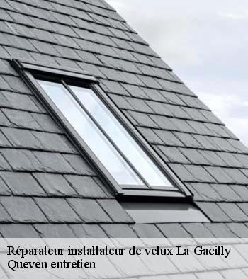 Réparateur installateur de velux  la-gacilly-56200 Queven entretien