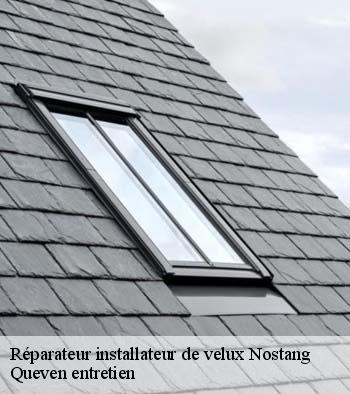 Réparateur installateur de velux  nostang-56690 Queven entretien