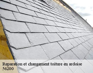 Reparation et changement toiture en ardoise-2
