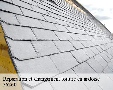 Reparation et changement toiture en ardoise-2