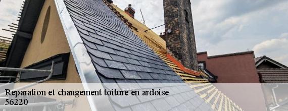 Reparation et changement toiture en ardoise  malansac-56220 Queven entretien