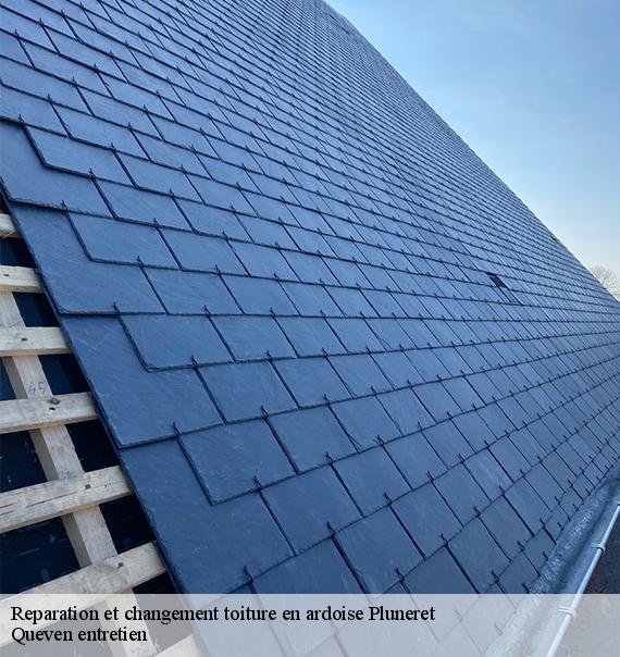 Reparation et changement toiture en ardoise-10