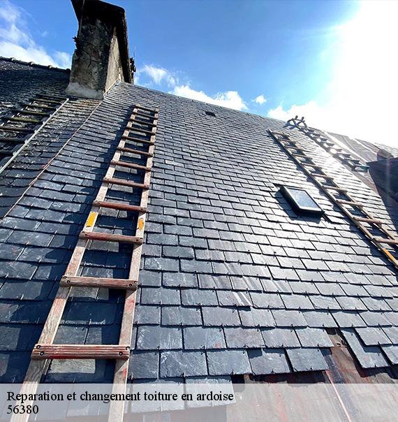Reparation et changement toiture en ardoise-8