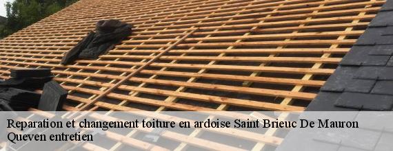 Reparation et changement toiture en ardoise  saint-brieuc-de-mauron-56430 Queven entretien