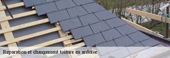 Reparation et changement toiture en ardoise-6