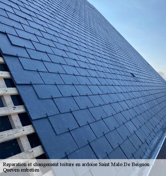 Reparation et changement toiture en ardoise-10