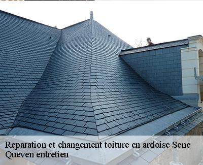 Reparation et changement toiture en ardoise-4