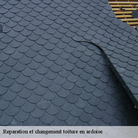 Reparation et changement toiture en ardoise-3