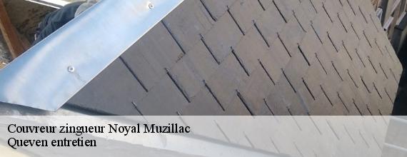 Couvreur zingueur  noyal-muzillac-56190 Queven entretien