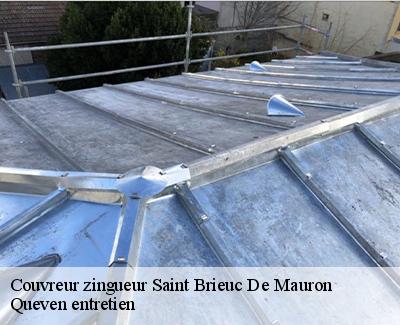 Couvreur zingueur-4