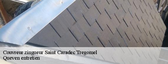 Couvreur zingueur  saint-caradec-tregomel-56540 Queven entretien