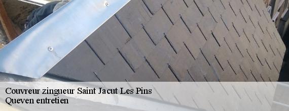 Couvreur zingueur  saint-jacut-les-pins-56220 Queven entretien