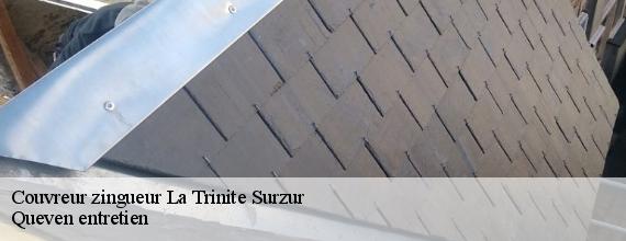 Couvreur zingueur  la-trinite-surzur-56190 Queven entretien