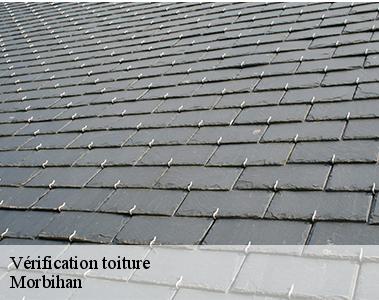 Vérification toiture -2