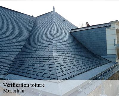Vérification toiture -5