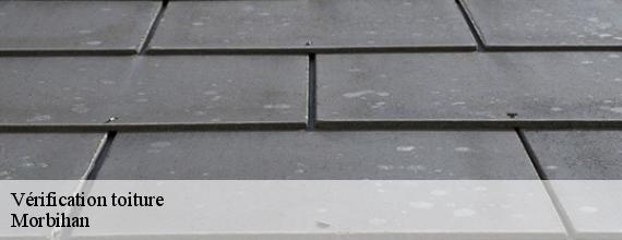 Vérification toiture  56 Morbihan  Queven entretien