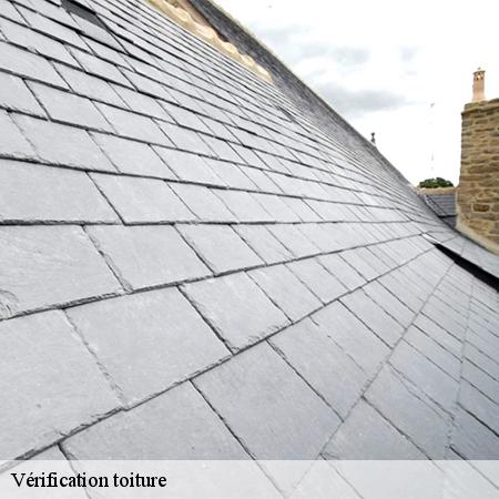Vérification toiture -3