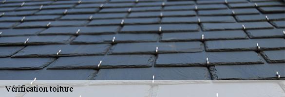 Vérification toiture -6