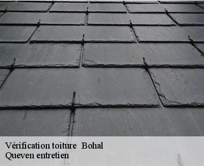 Vérification toiture -4