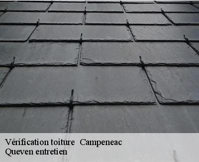 Vérification toiture -4