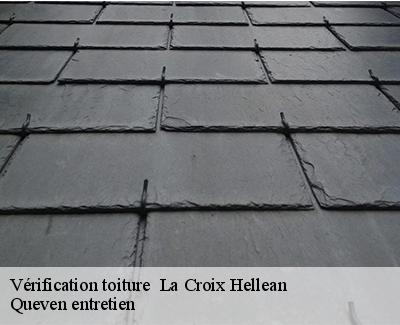 Vérification toiture -4