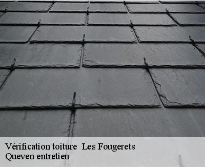 Vérification toiture -4