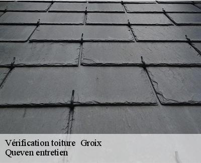 Vérification toiture -4