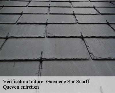 Vérification toiture -4
