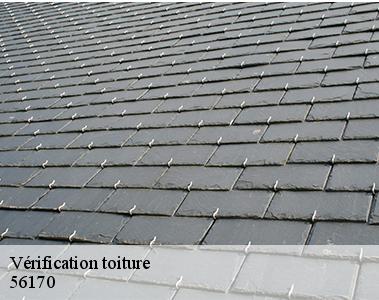 Vérification toiture -2