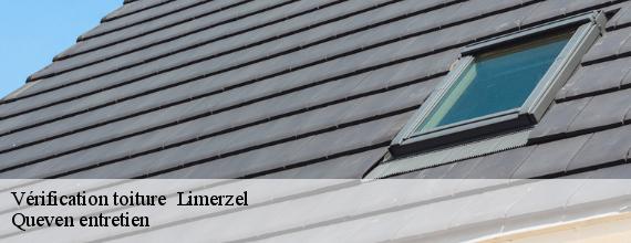 Vérification toiture   limerzel-56220 Queven entretien
