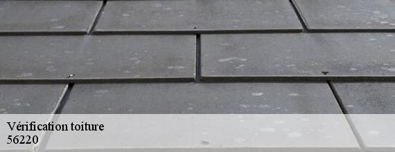 Vérification toiture   limerzel-56220 Queven entretien
