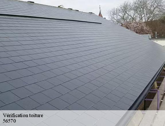 Vérification toiture   locmiquelic-56570 Queven entretien
