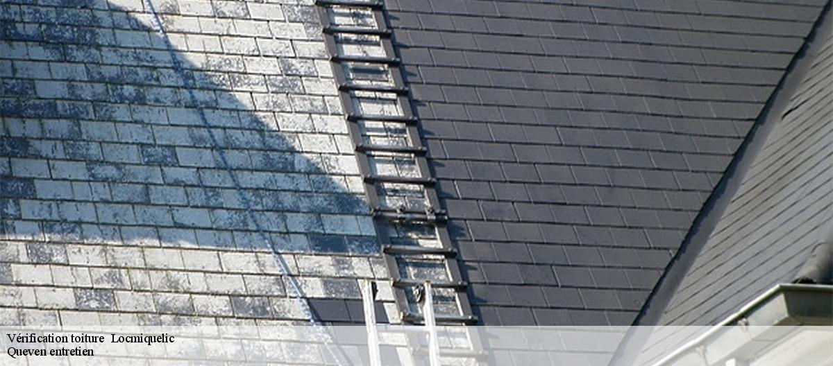 Vérification toiture -7