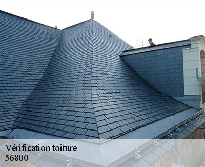 Vérification toiture -5