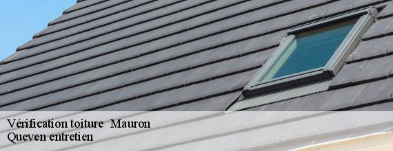 Vérification toiture   mauron-56430 Queven entretien