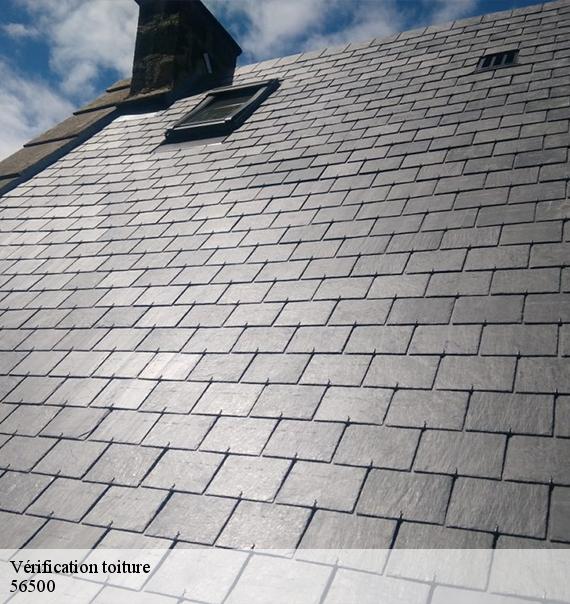 Vérification toiture -8