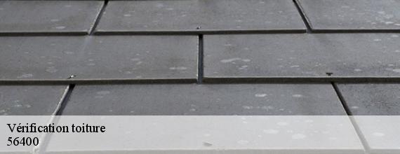 Vérification toiture   ploemel-56400 Queven entretien
