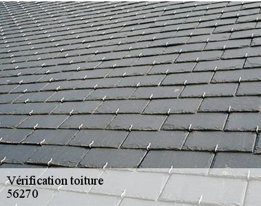 Vérification toiture -2