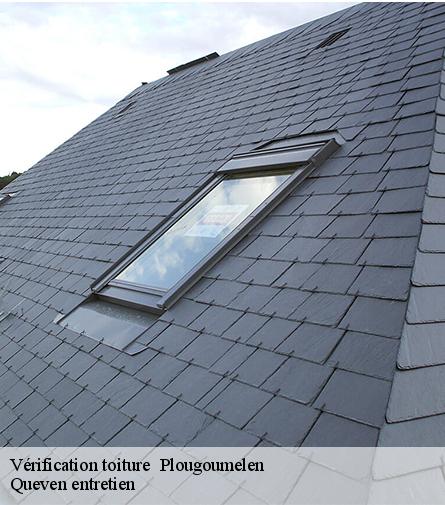 Vérification toiture -1